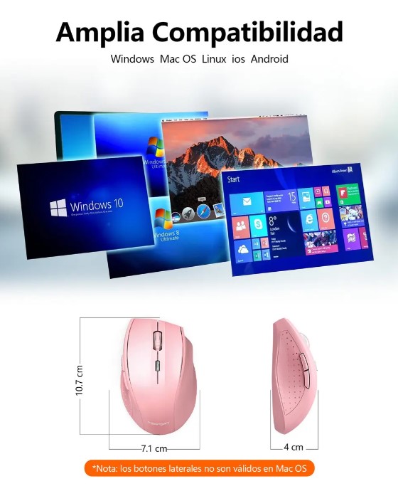 Vista 4