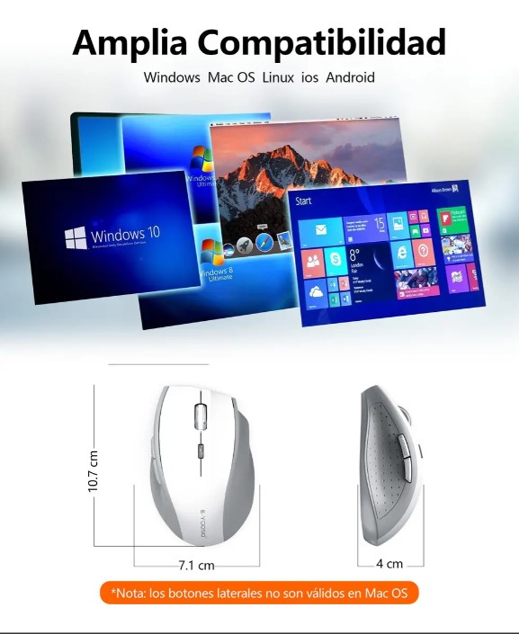 Vista 4